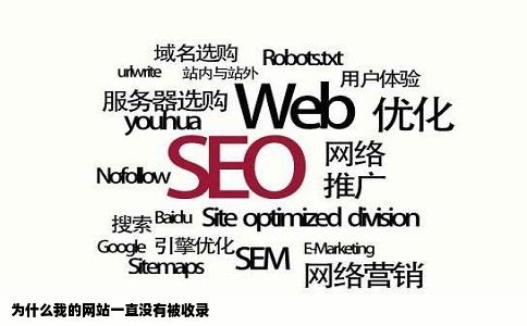 为什么我的网站一直没有被收录