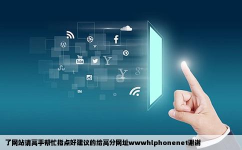 了网站请高手帮忙指点好建议的给高分网址wwwhlphonenet谢谢