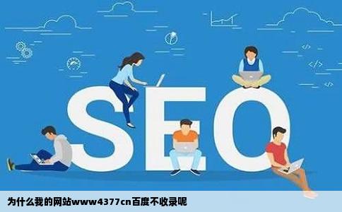 为什么我的网站www4377cn百度不收录呢