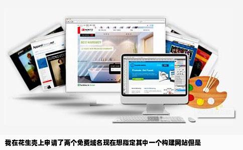 我在花生壳上申请了两个免费域名现在想指定其中一个构建网站但是