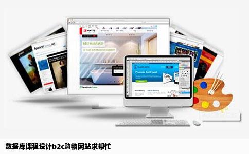 数据库课程设计b2c购物网站求帮忙