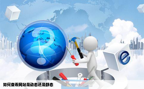 如何查看网站是动态还是静态