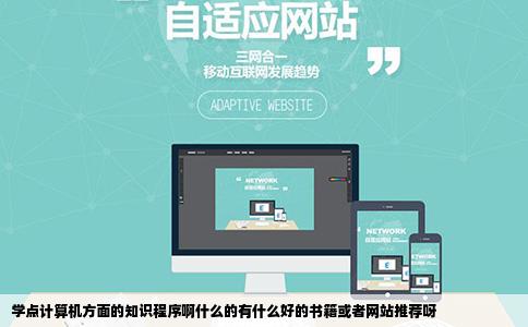 学点计算机方面的知识程序啊什么的有什么好的书籍或者网站推荐呀