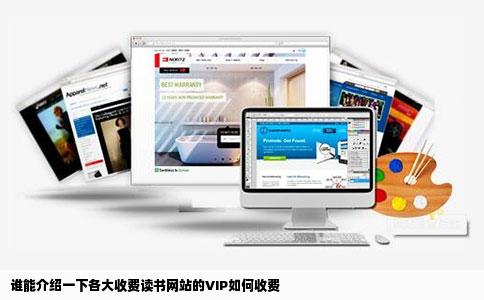 谁能介绍一下各大收费读书网站的VIP如何收费