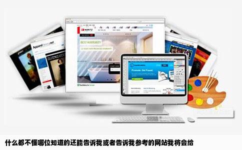 什么都不懂哪位知道的还能告诉我或者告诉我参考的网站我将会给