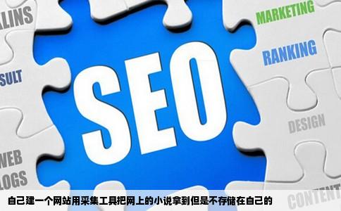 自己建一个网站用采集工具把网上的小说拿到但是不存储在自己的