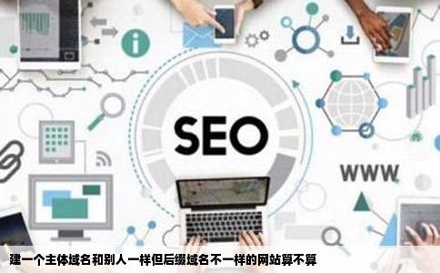 建一个主体域名和别人一样但后缀域名不一样的网站算不算