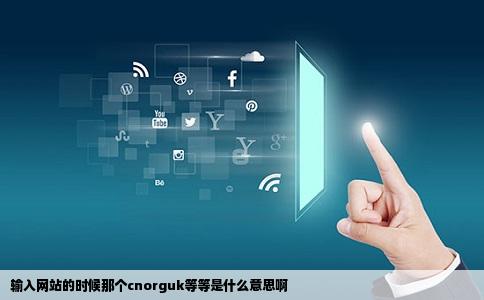 输入网站的时候那个cnorguk等等是什么意思啊