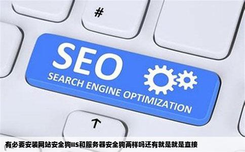 有必要安装网站安全狗IIS和服务器安全狗两样吗还有就是就是直接