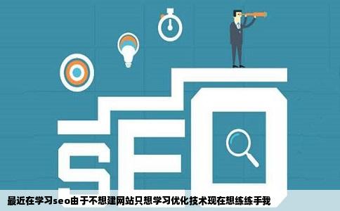 最近在学习seo由于不想建网站只想学习优化技术现在想练练手我