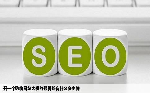 开一个购物网站大概的预算都有什么多少钱