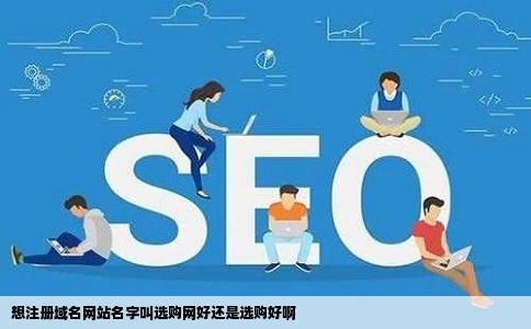 想注册域名网站名字叫选购网好还是选购好啊