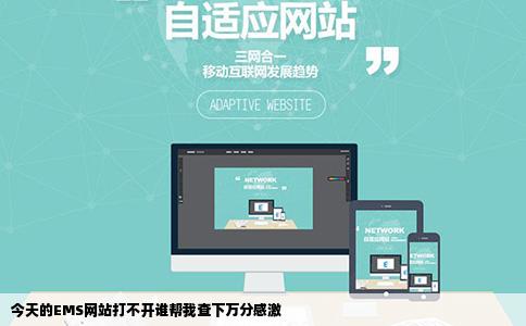 今天的EMS网站打不开谁帮我查下万分感激