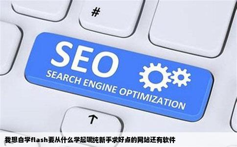 我想自学flash要从什么学起呢纯新手求好点的网站还有软件