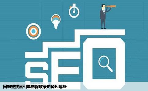 网站被搜索引擎剔除收录的原因解析