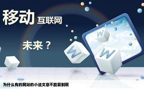 为什么有的网站的小说文章不能复制啊