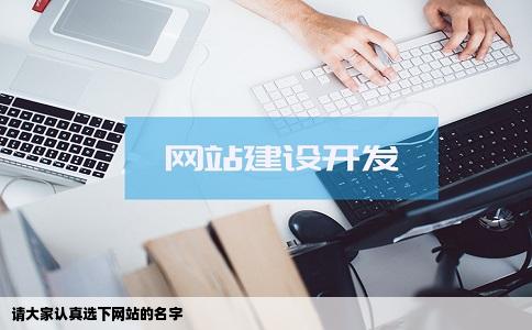 请大家认真选下网站的名字