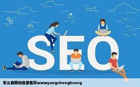 怎么查网站收录情况wwwyangchenghuorg