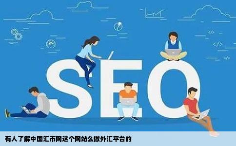 有人了解中国汇市网这个网站么做外汇平台的