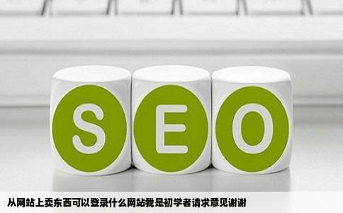 从网站上卖东西可以登录什么网站我是初学者请求意见谢谢