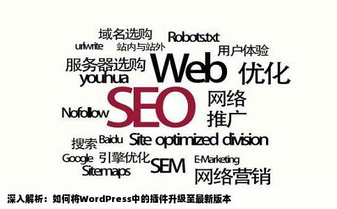 深入解析：如何将WordPress中的插件升级至最新版本