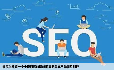 谁可以介绍一个小说阅读的网站能复制全文不是图片那种