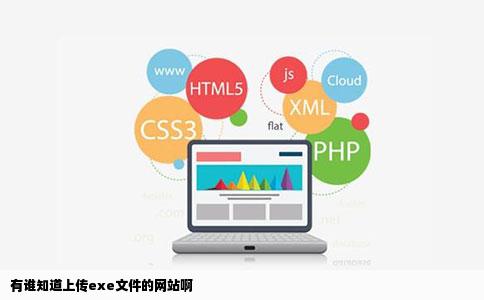 有谁知道上传exe文件的网站啊