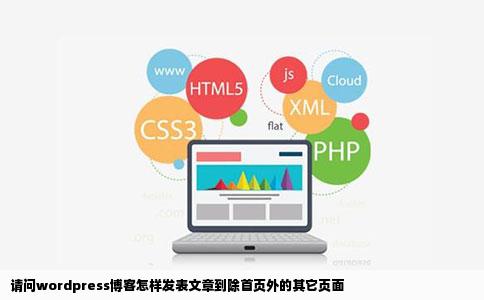 请问wordpress博客怎样发表文章到除首页外的其它页面