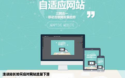 浅谈站长如何应对网站流量下滑