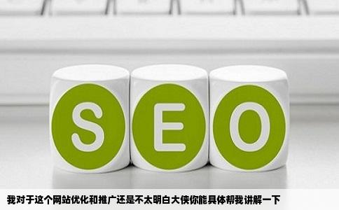 我对于这个网站优化和推广还是不太明白大侠你能具体帮我讲解一下