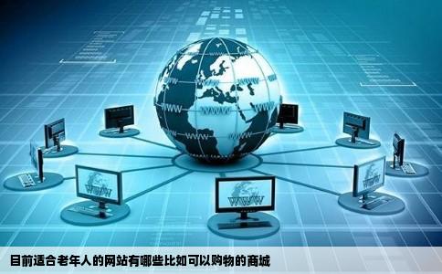 目前适合老年人的网站有哪些比如可以购物的商城