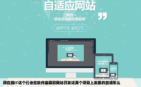 现在搞IT这个行业在软件编程和网站开发这两个项目上发展的前途怎么