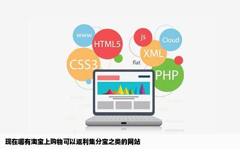 现在哪有淘宝上购物可以返利集分宝之类的网站