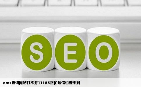 ems查询网站打不开11185正忙短信也查不到