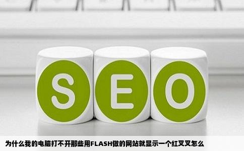 为什么我的电脑打不开那些用FLASH做的网站就显示一个红叉叉怎么