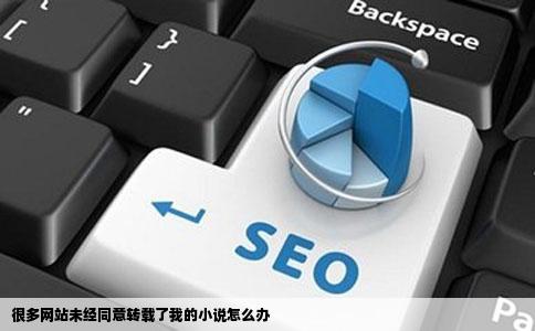 很多网站未经同意转载了我的小说怎么办