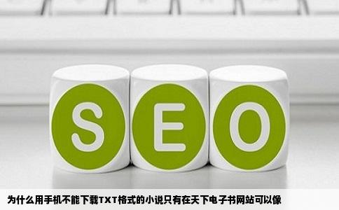 为什么用手机不能下载TXT格式的小说只有在天下电子书网站可以像
