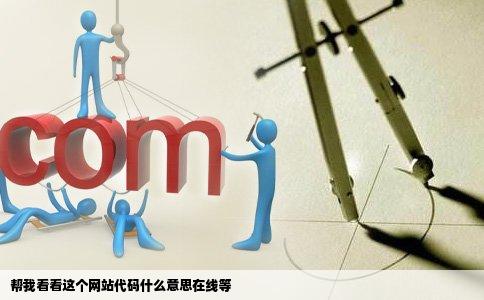 帮我看看这个网站代码什么意思在线等