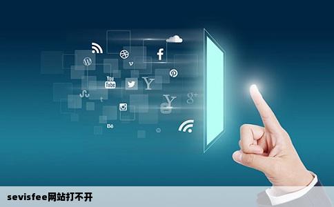 sevisfee网站打不开
