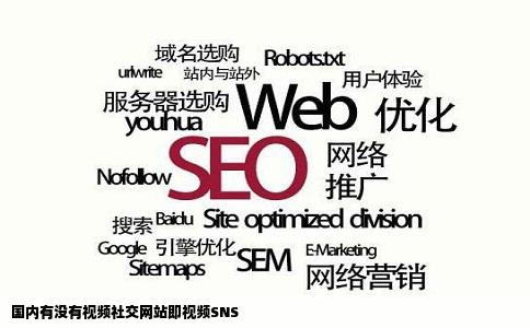 国内有没有视频社交网站即视频SNS