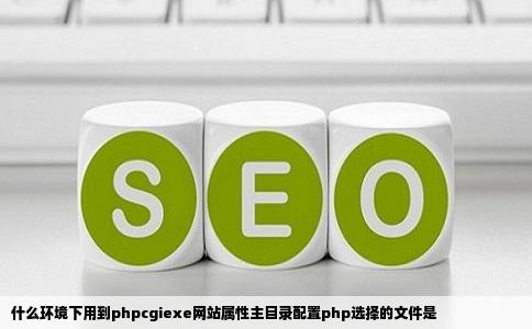 什么环境下用到phpcgiexe网站属性主目录配置php选择的文件是