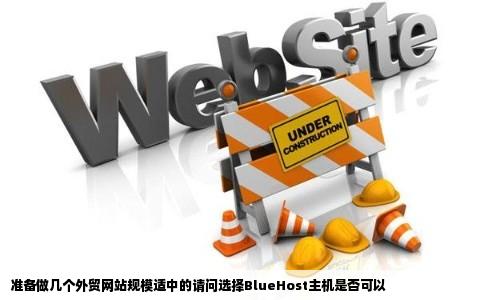 准备做几个外贸网站规模适中的请问选择BlueHost主机是否可以