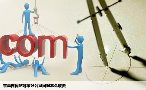 东莞做网站哪家好公司网站怎么收费