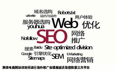 跨境电商网站该如何进行海外推广自建商城还是借助第三方平台