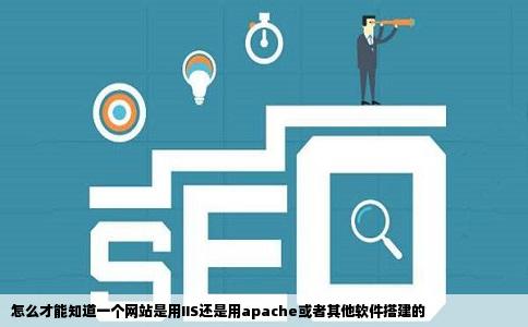 怎么才能知道一个网站是用IIS还是用apache或者其他软件搭建的