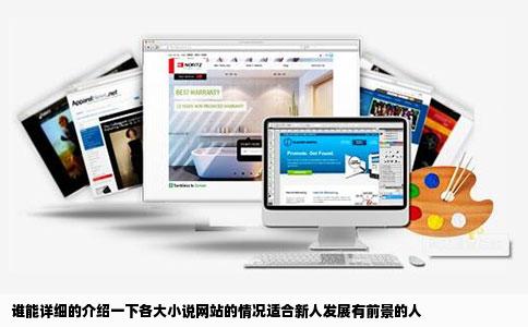 谁能详细的介绍一下各大小说网站的情况适合新人发展有前景的人