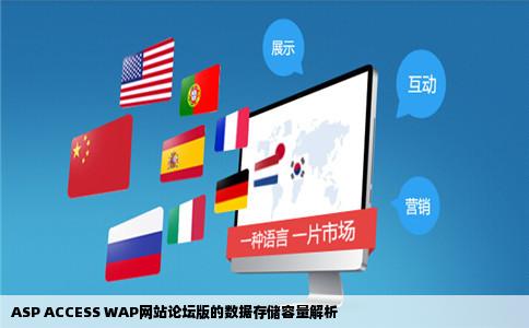 ASP ACCESS WAP网站论坛版的数据存储容量解析