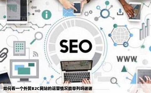 如何看一个外贸B2C网站的运营情况能举列吗谢谢