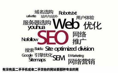 有没有卖二手手机或者二手货物的网站要那种专业的网