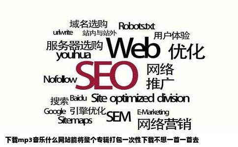 下载mp3音乐什么网站能将整个专辑打包一次性下载不想一首一首去